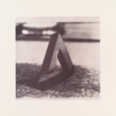 triangle on lawn from the portfolio 9 Objekte