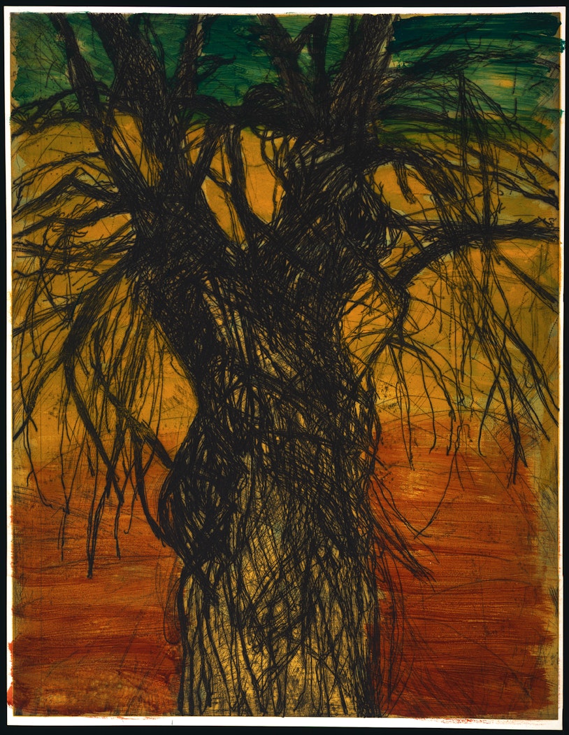 A Tree Painted in South Florida