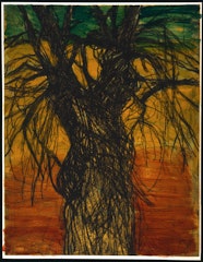A Tree Painted in South Florida