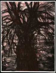 A Tree Covered with Rust