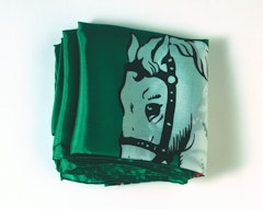 Grünes Seidentuch (Green Silk Scarf)