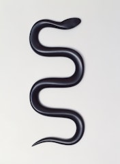 Schlange (Snake)