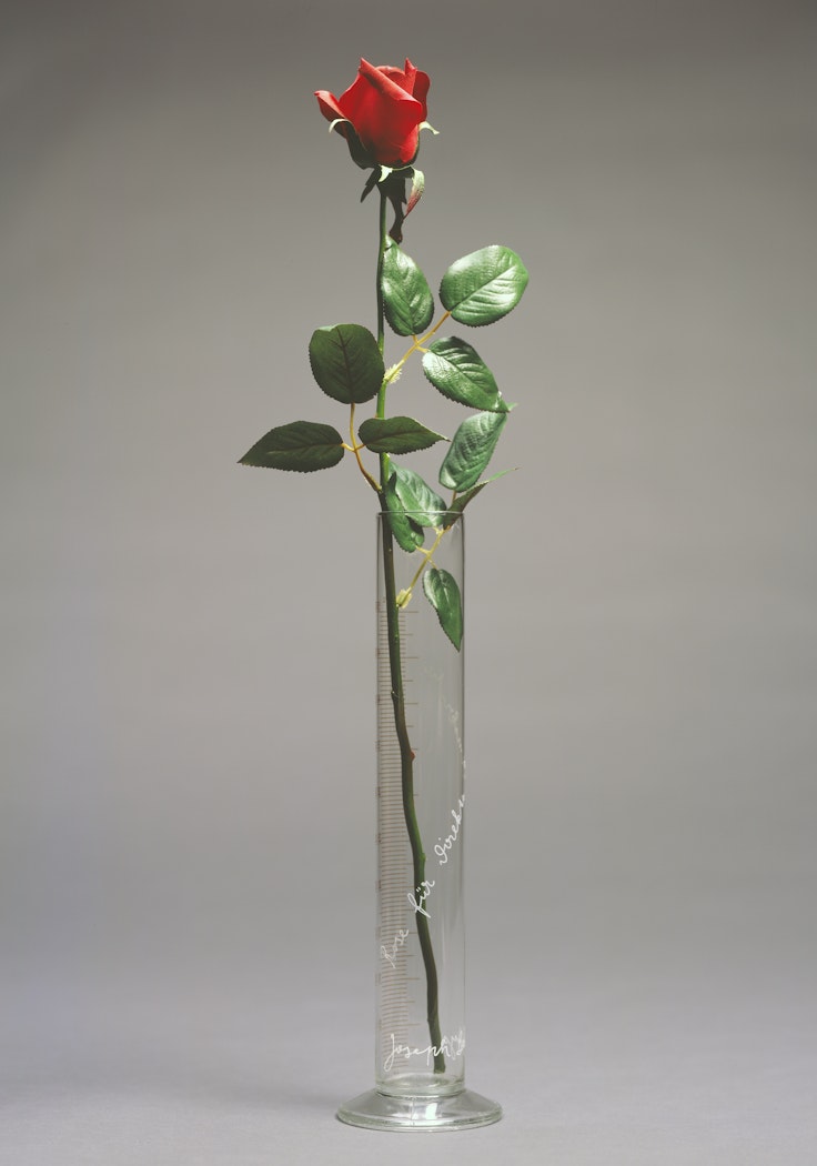 Studio view on gray background