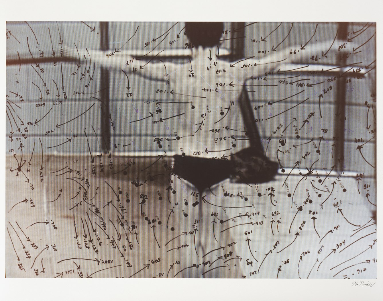 Video Drawing: Swimming