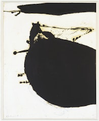 The Black Sun