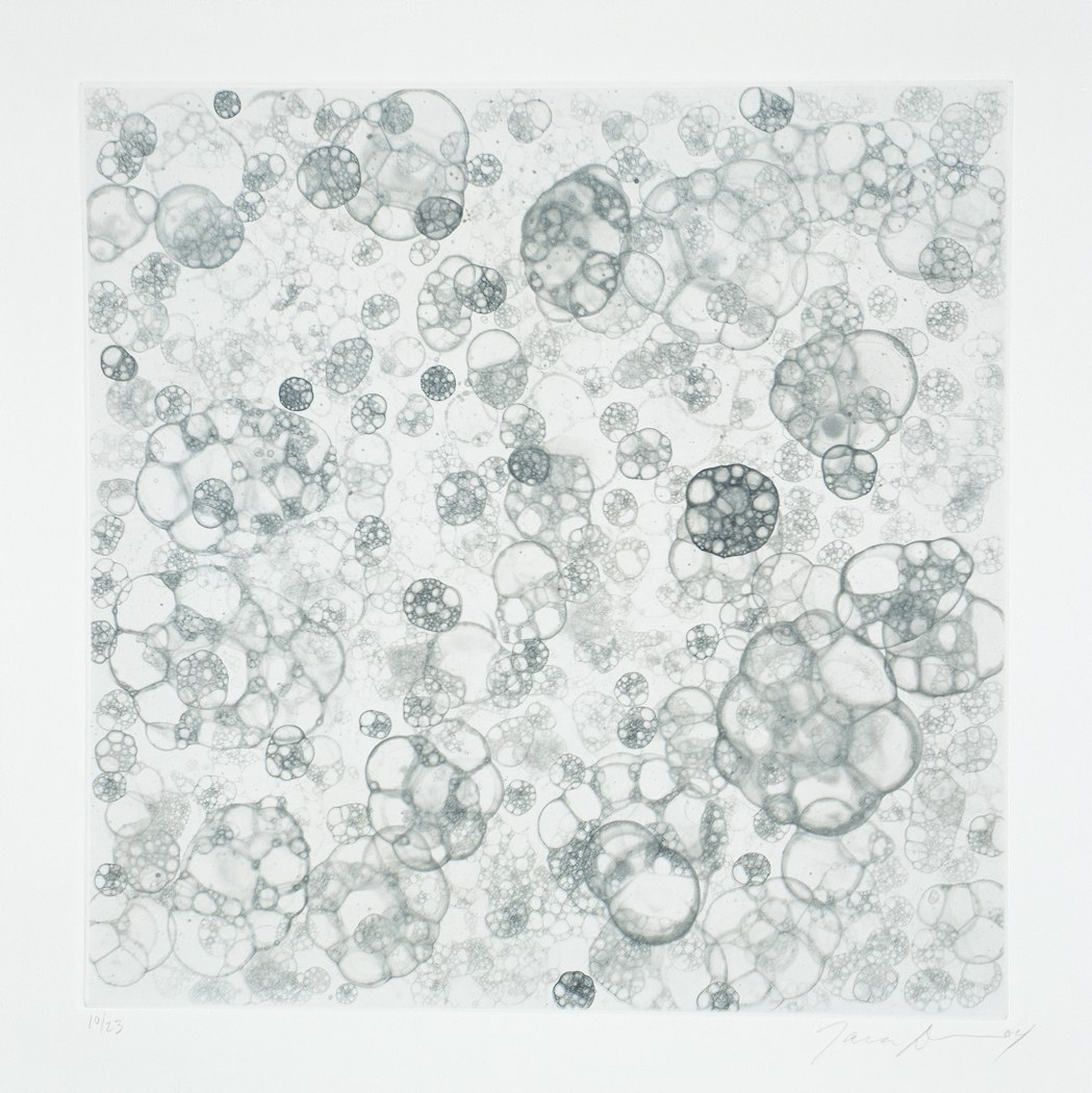 2005.16.2