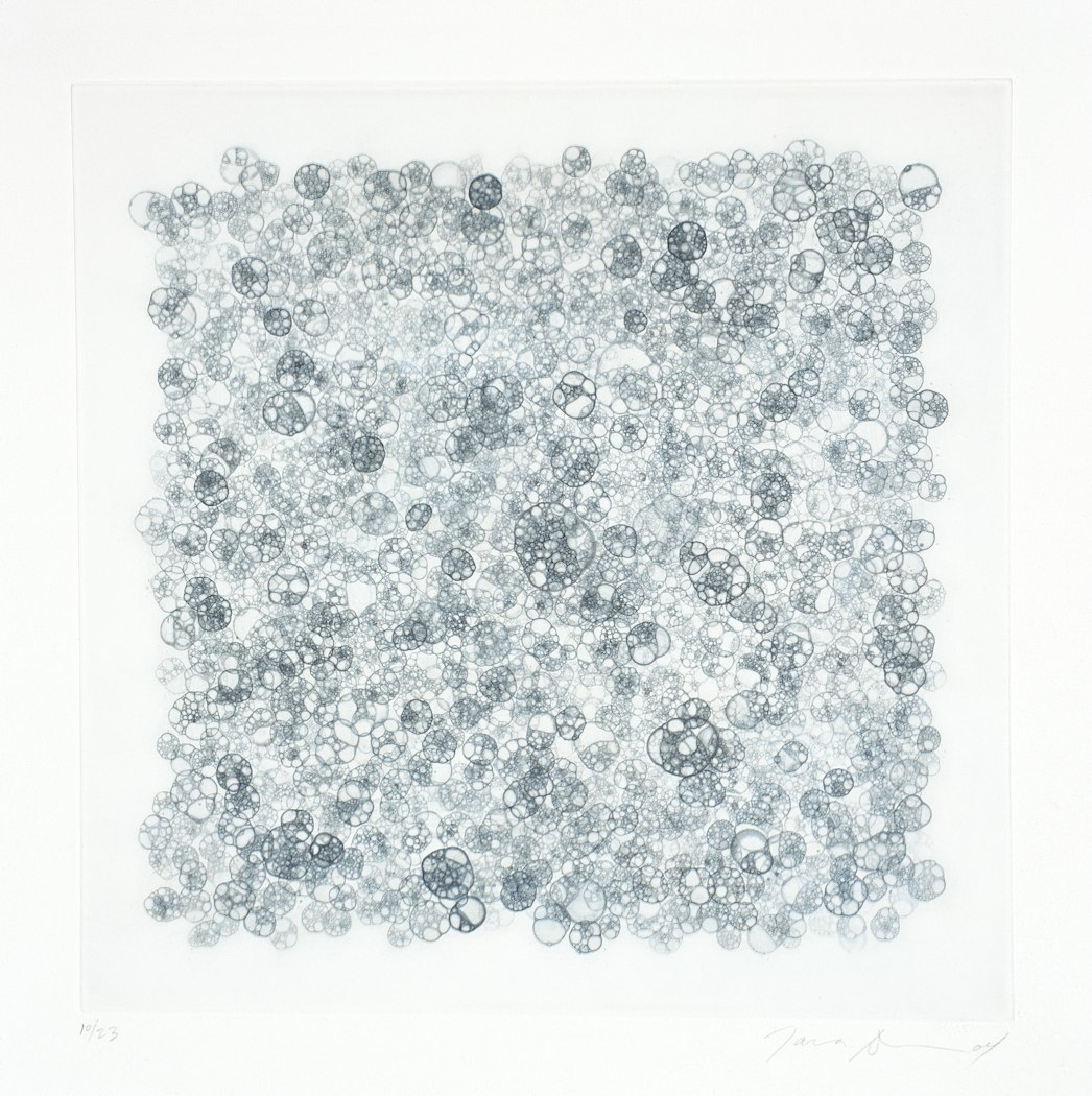 2005.16.5