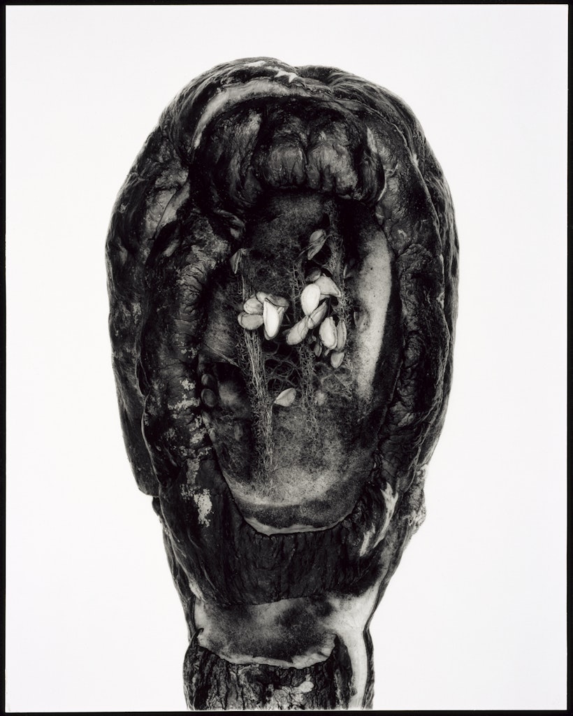 Bocas de Ceniza (Mouth of Ash)