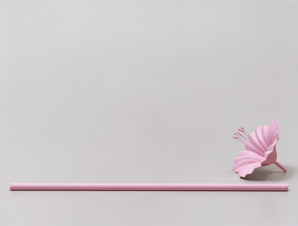 Blume und Stock (Flower and Stick)