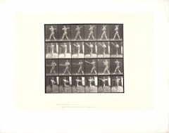 Baseball, Batting Plate #274 from Human and Animal Locomotion