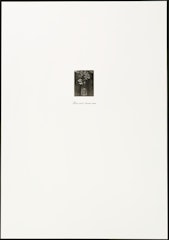 Serre II