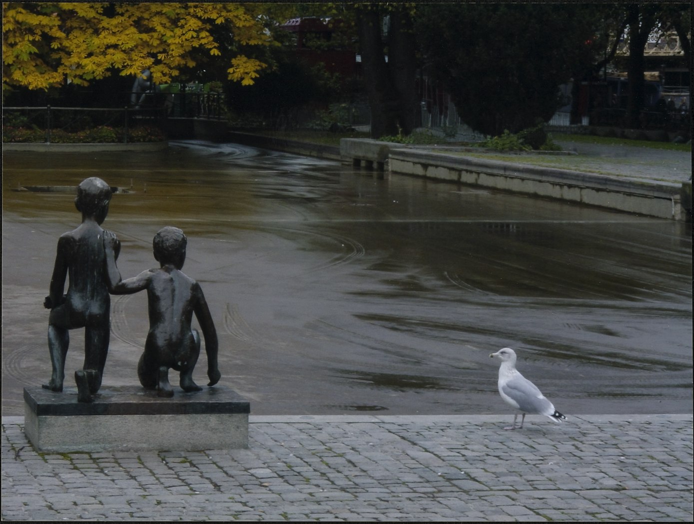 Oslo Meeuw