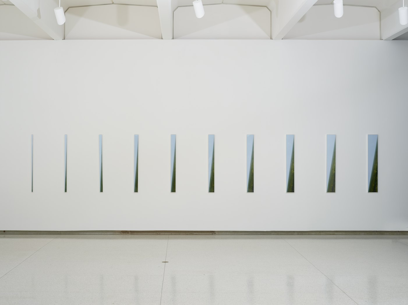 gallery view