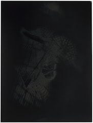 Solarised Photogram #2