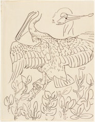 Pelican