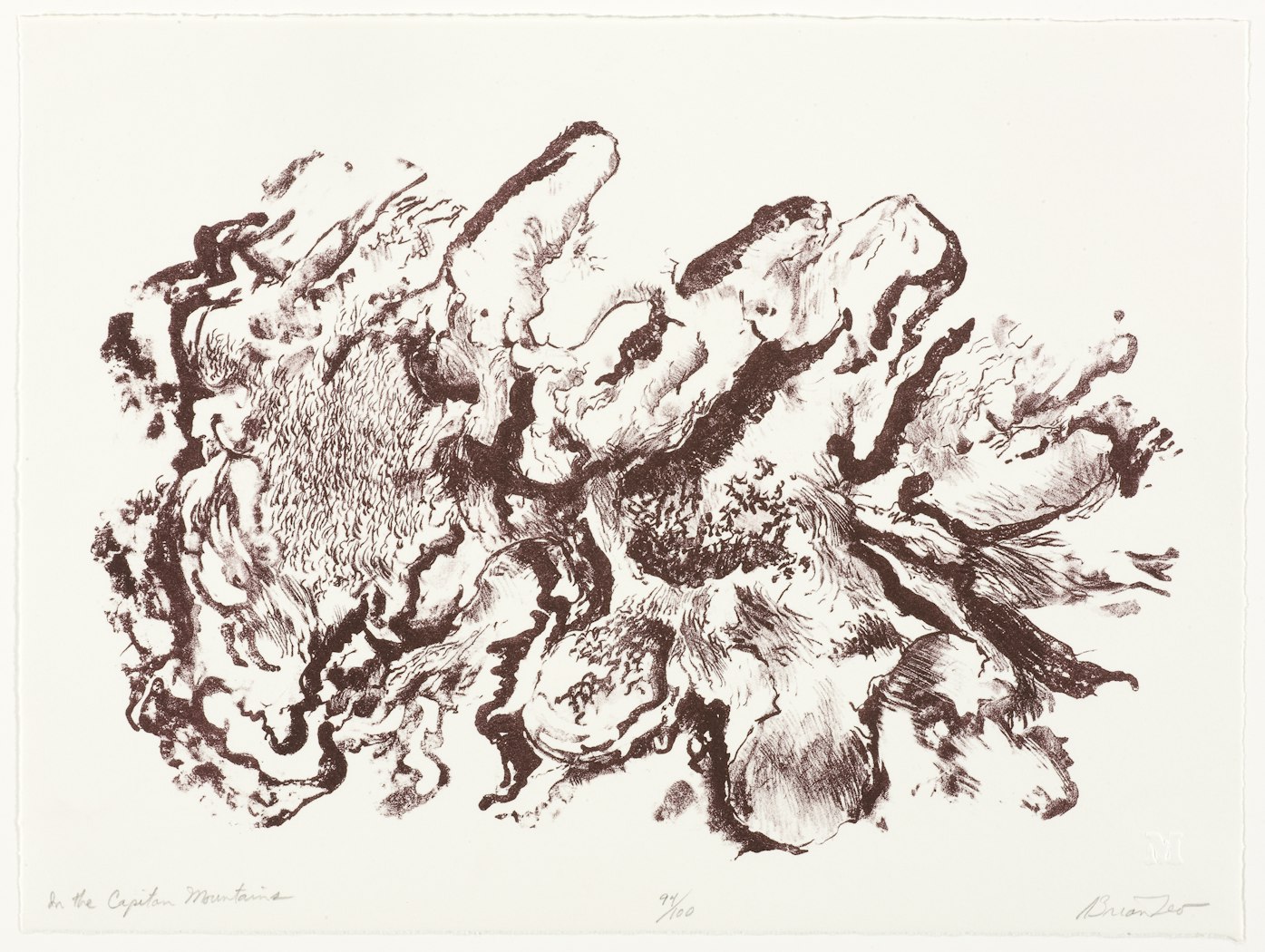 In the Capitan Mountains