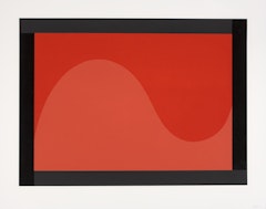 Irregular Forms (Flat and Glossy Colors) with Black Border