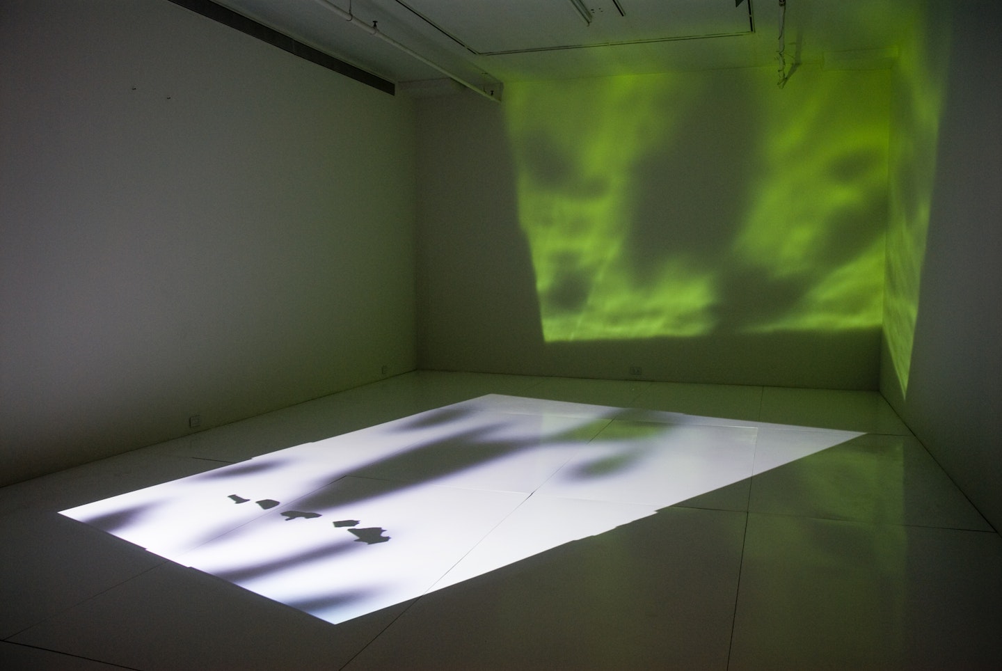 installation view