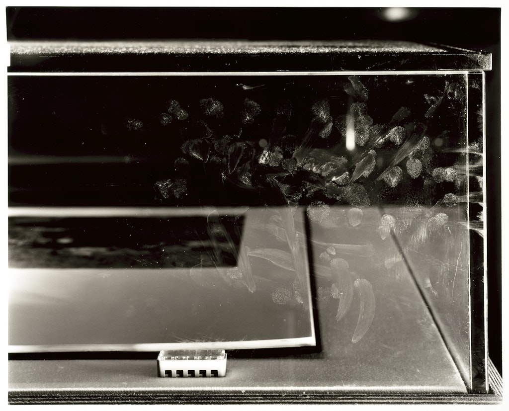 Figure I.  Accretions, January 16, 1992 (Cyprus, 1990 [detail]) 