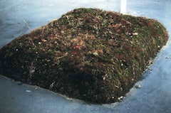Moss Bed, Queen