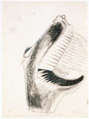 Scream Laughter Cup