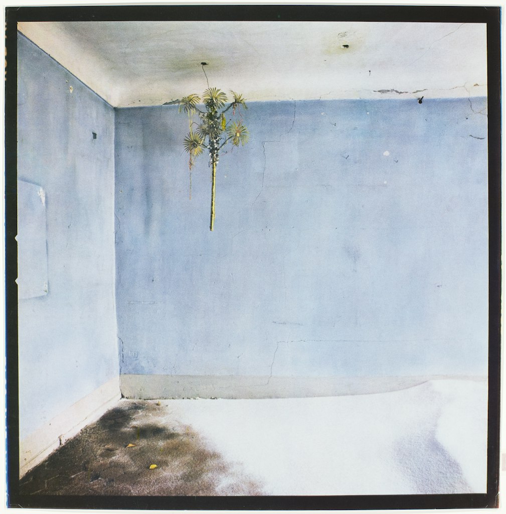 The Snow Storm (The Fourteenth Room of Love)