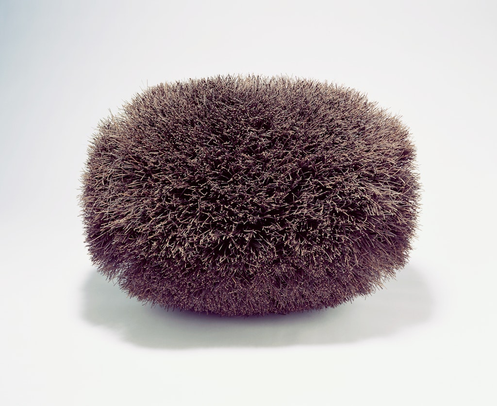 Brush Blp