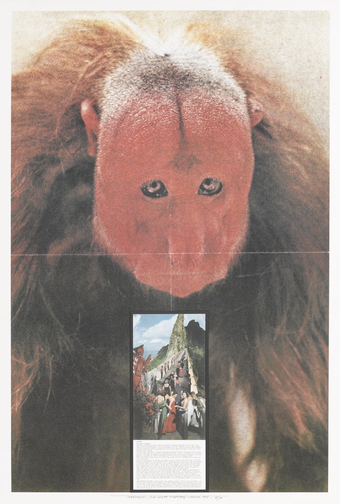 Ceremony: The Great Pilgrimage from Superstudio Series