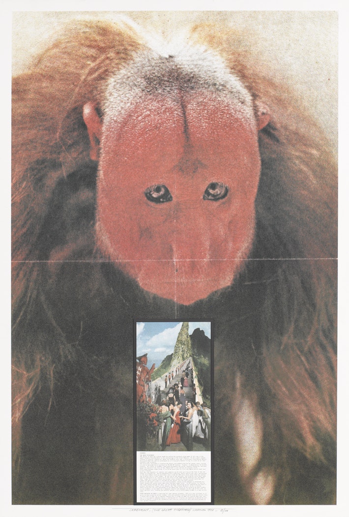 Ceremony: The Great Pilgrimage from Superstudio Series