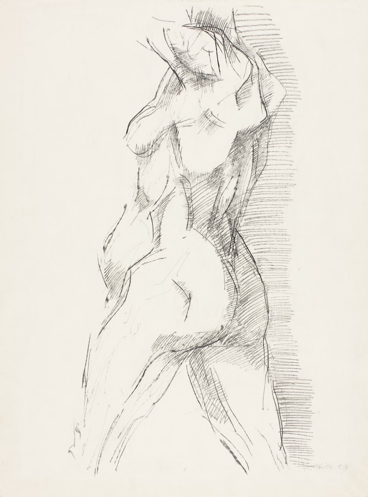 Torso