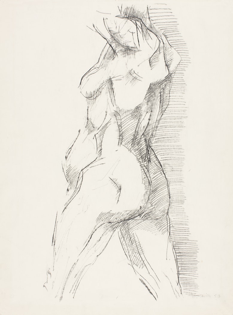 Torso