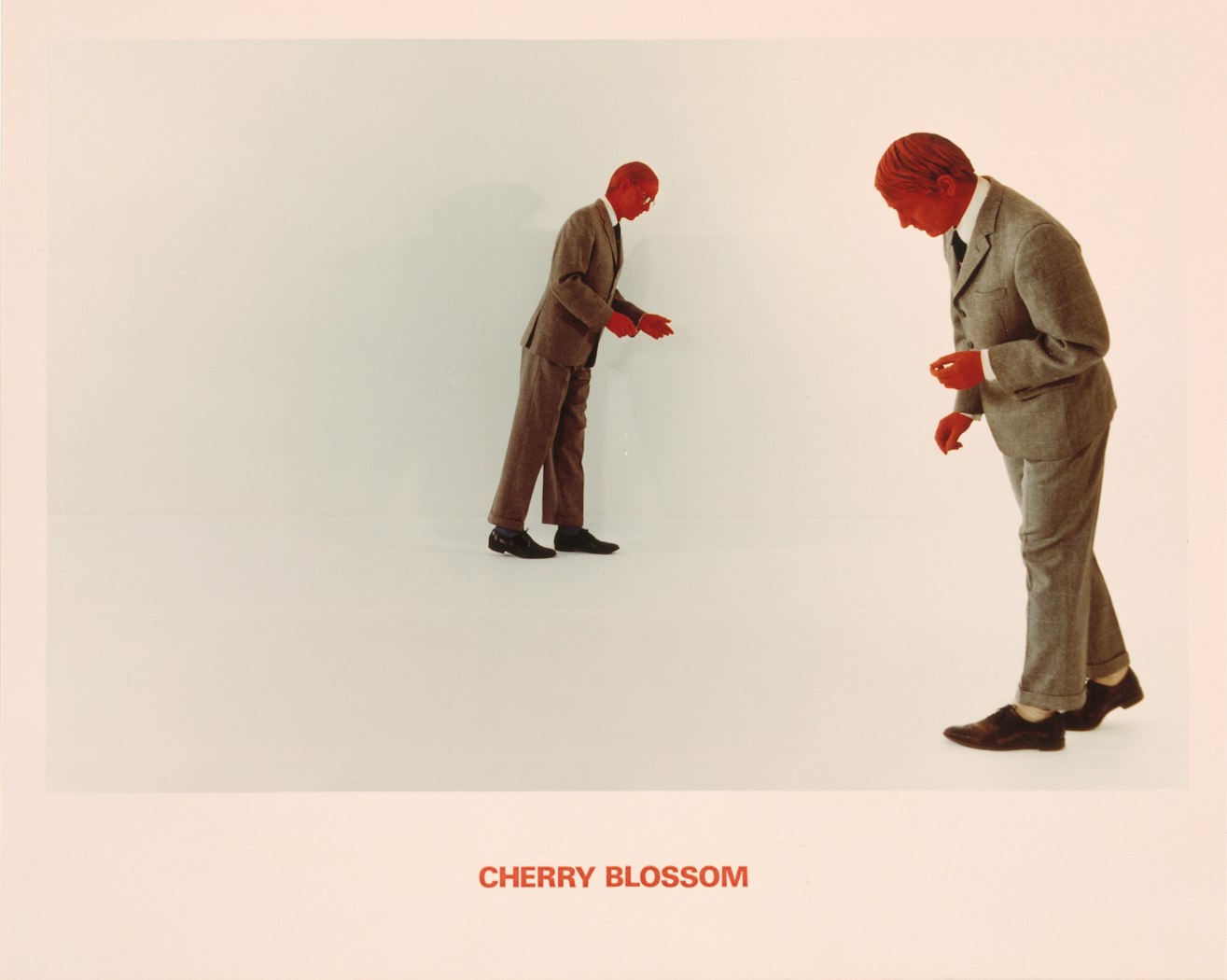“Cherry Blossom”