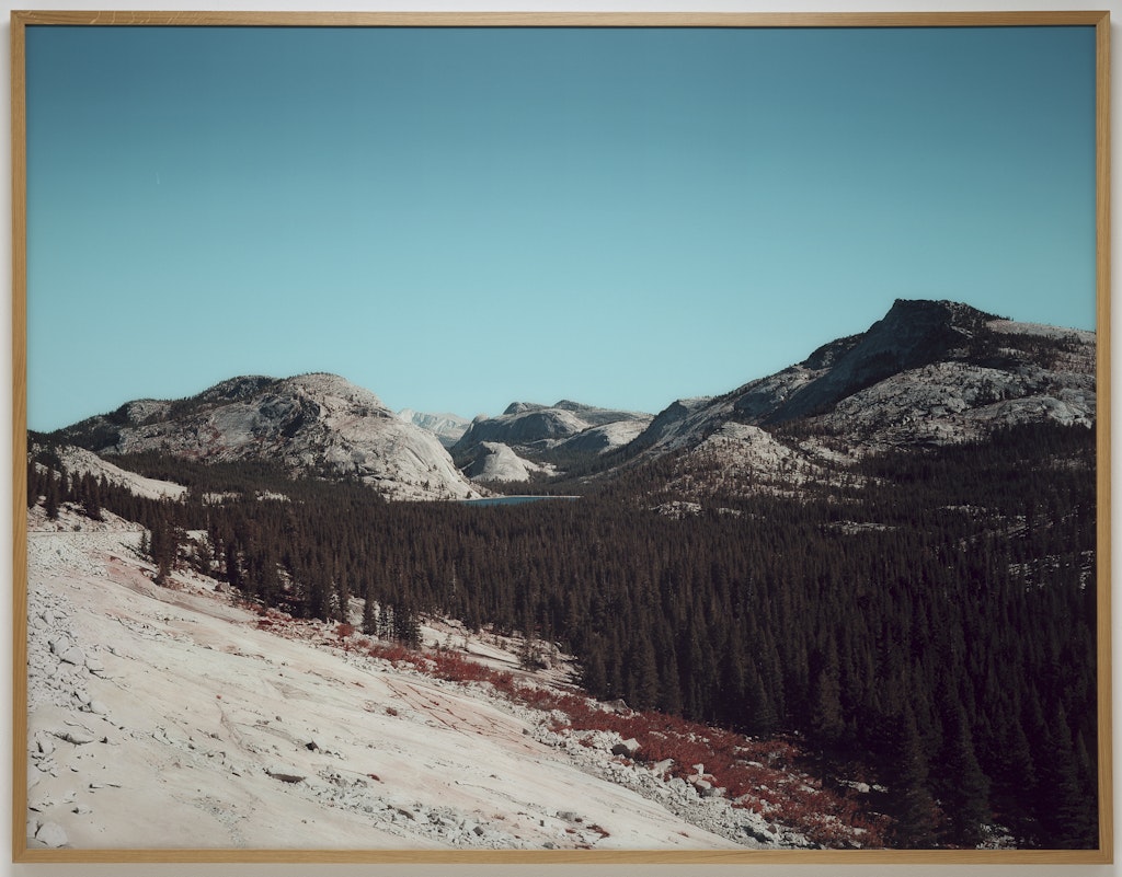 Untitled (Tenaya Lake)