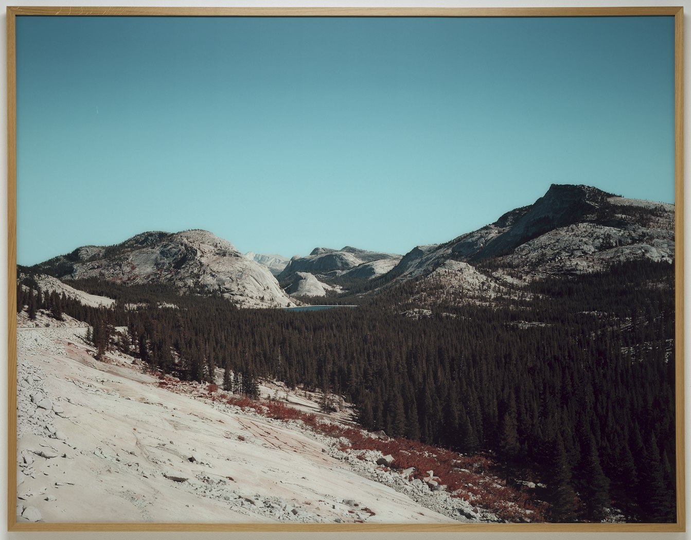 Untitled (Tenaya Lake)