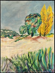 Cape Cod Dune