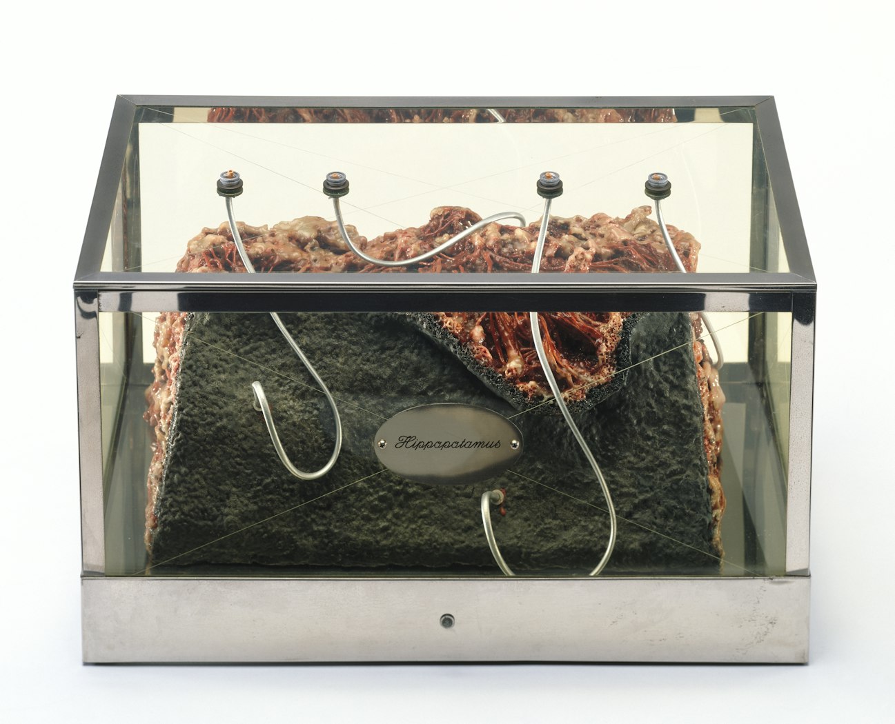 Hippopotamus from Technological Reliquaries