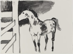 Spotted Horse